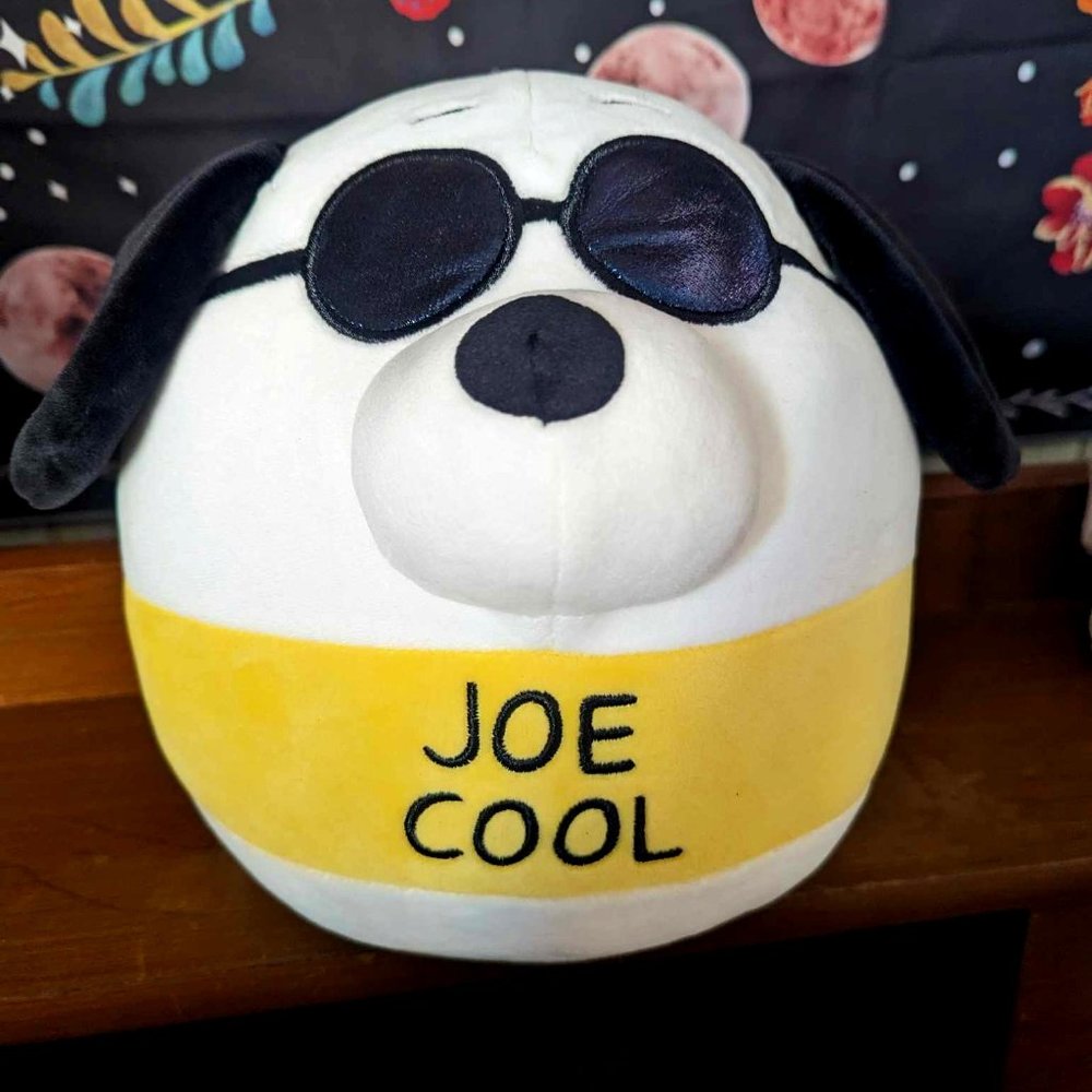 Squishmallows New Joe Cool (Snoopy) from peanuts. BNWT
